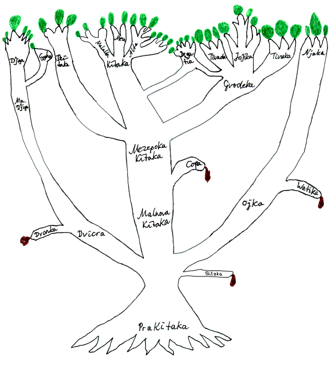 Genealogia arbo de la Kitakidaj lingvoj